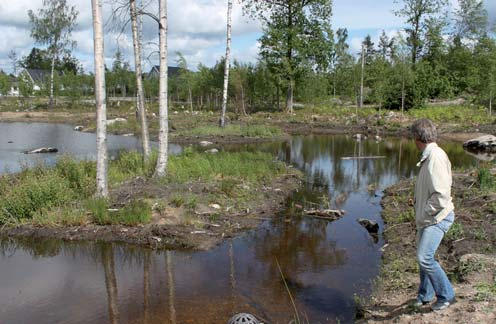 MÅL/INRIKTNING DRICKSVATTEN Arbeta för att vattenkvaliteten i Lyckebyån långsiktigt ska förbättras.