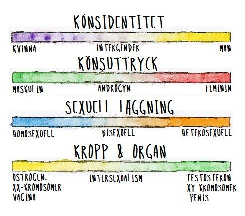 Istället kan kön och sexualitet beskrivas som olika skalor som är helt oberoende av varandra.