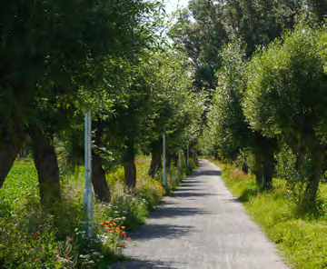 34 123 FAKTA med Malmö i med den byggda miljön och stärka parkens karaktär.