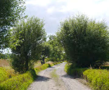 VINTRIE BYTOMT Det krävs två saker för att det stadsnära landskapet ska bidra med värden till den angränsande stadsbebyggelsen: kulturlandskapet måste kunna utvecklas och det måste göras tillgängligt.