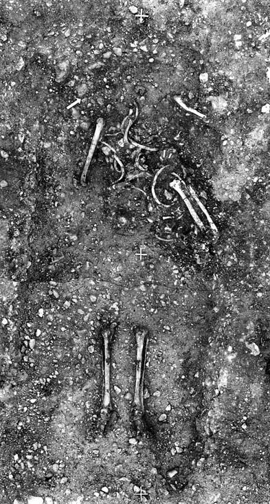 Graven dateras till järnåldern. Fig. 16. Skelettgrav, A 51. Profil. Fig. 15.