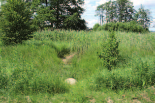 GENOMFÖRANDE Del av Näsby dike, juli 2010. uppskattat hos stadens invånare.