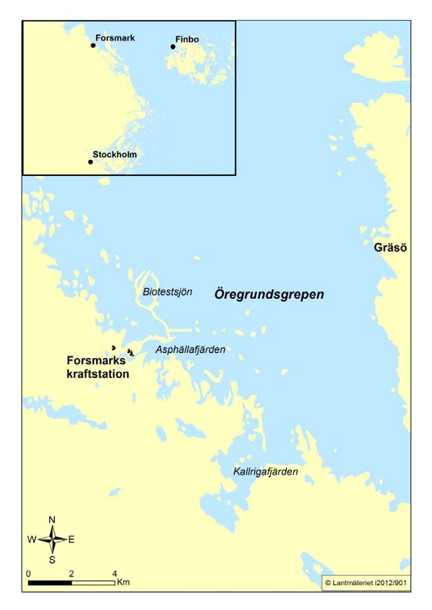 intaget till kraftverket och går förlorade. Mindre organismer, till exempel djurplankton, fiskägg och fisklarver kan passera genom silarna. Figur 1.2.