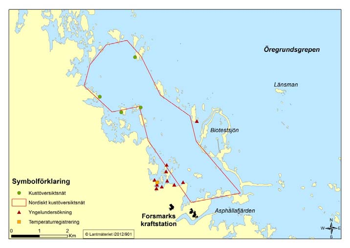 Kontroll av ålder och tillväxt Vid provfisket med Nordiska kustöversiktsnät samlas gällock och otoliter in från cirka 300 abborrhonor för analys av ålder och tillväxt.
