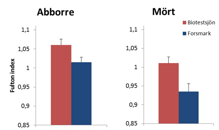 Figur 4.1.2j. Kondition hos abborre och mört i Biotestsjön och Forsmark. Felstaplar anger 95 % konfidensintervall.