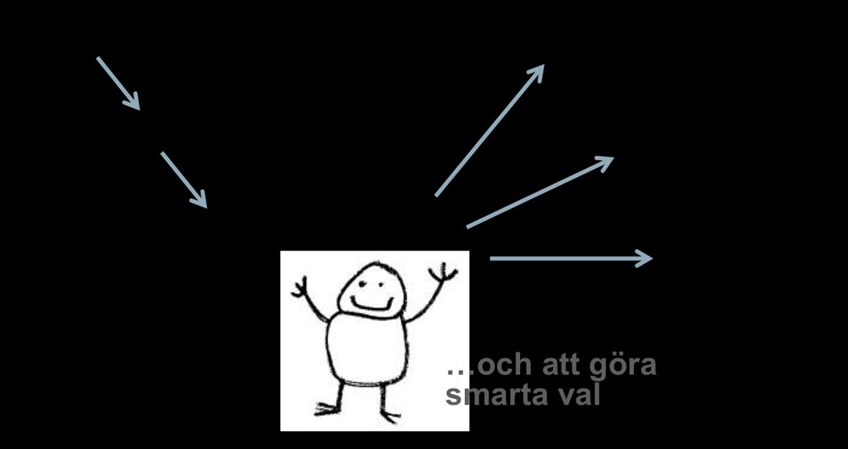 Naturvårdsverket Swedish