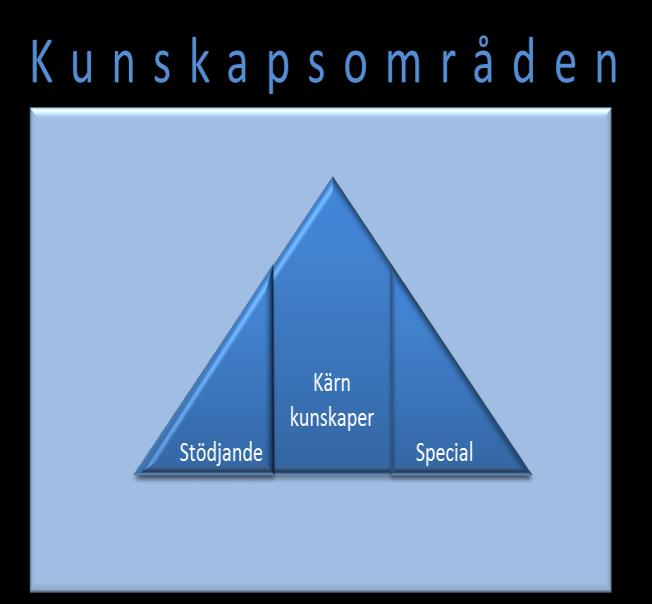 2016-07-01 FM2015-1597:7 Sida 15 (43) specialiserade kunskaper ska möjliggöra att kärnkunskaperna kan tillämpas effektivt.