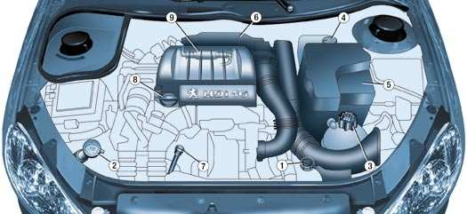 134 - Kontroller 1,6 L TURBODIESELMOTOR HDI 16V (110 hk) 1. Oljebehållare för servostyrning. 4. Behållare för bromsvätska. 8. Påfyllning av motorolja. 2.