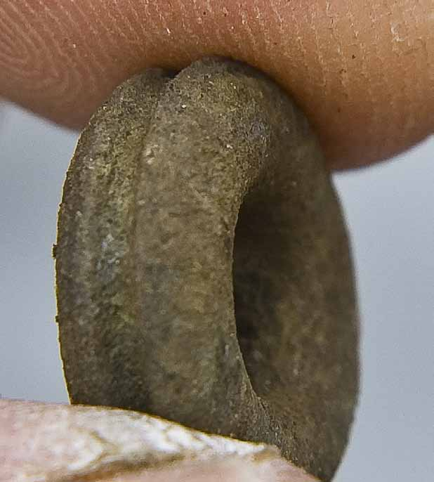När Arningeleden byggdes 1997 hittades ungefär vid den ofullbordade rondellen Löttinglundsvägen/Arningevägen fyra långhus varav det praktfullaste var 35 meter långt. Datering 0-550 ekr.