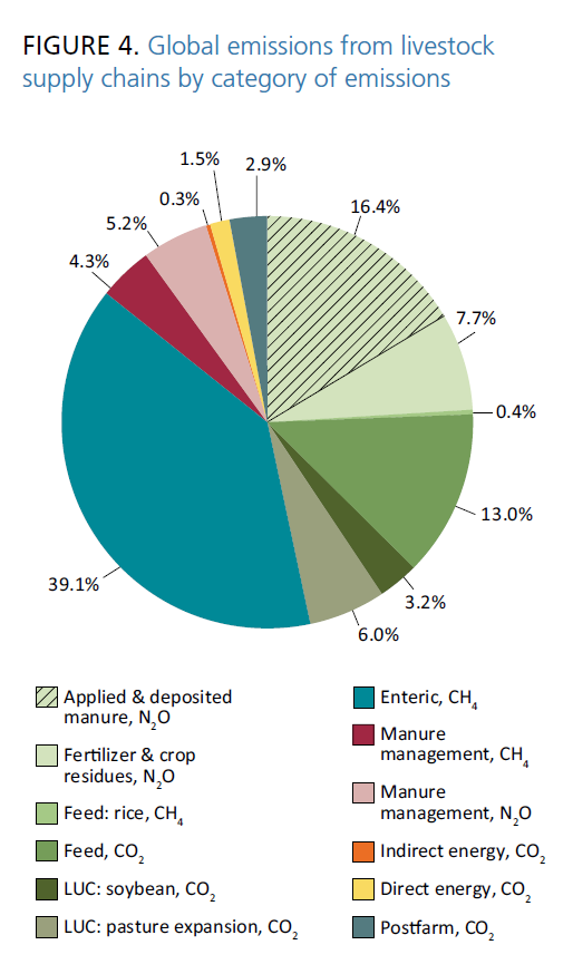 Animalieproduktionens växthusgasutsläpp globalt -