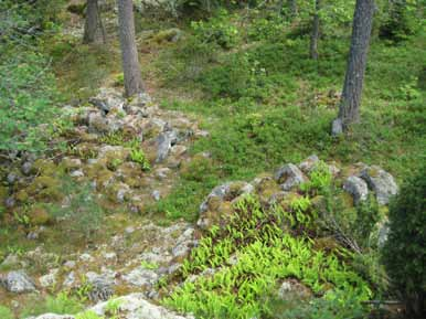 ensstämmer med den hagmark som finns idag. Den uppodlade marken består till stor del av utdikad våtmark och ger intryck av en relativt sen etablering inom området, någon gång under 1800 talet.
