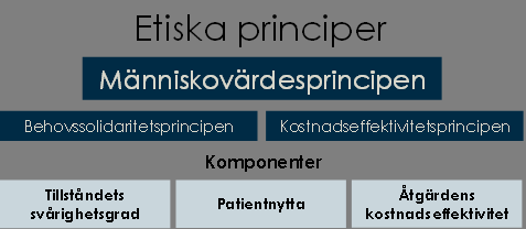 Människovärdesprincipen är den övergripande etiska principen i plattformen och anger vad som inte får avgöra prioriteringar av vård, såsom personliga egenskaper och funktioner i samhället.