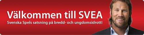 Helt enkelt så försöker vi köra den rid-avslutning som var inplanerad förra året men som pga vädret fick ställdes in. Det bjuds då på riduppvisningar i form av bl.
