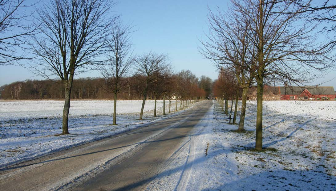 Dessa gränser har ett stort odlingshistoriskt värde. Rosenlundsskogen, 45 hektar, har ett mycket högt naturvärde, klass 2.