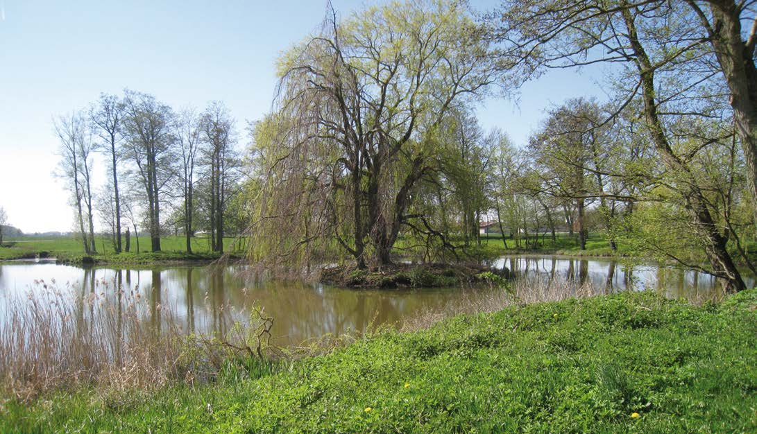 Naturgivna förutsättningar Kulturlandskapet Rosenlunds godsområde. Sbf 2010 s samhälle ligger på den norra kanten av den så kallade Helsingborgsryggen, en höjd som löper i nordväst-sydostlig riktning.