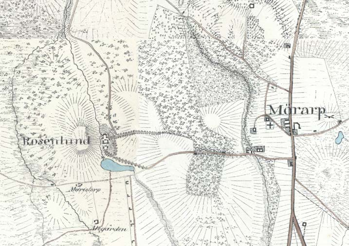 Ordet måse är en gammal stavning av mosse. Mölledammen vid Rosenlund finns omnämnd redan på 1700-talet och söder om Rosenlund fanns en mindre våtmark kallad Långemåsen.