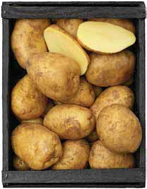 Ca 1100 g.