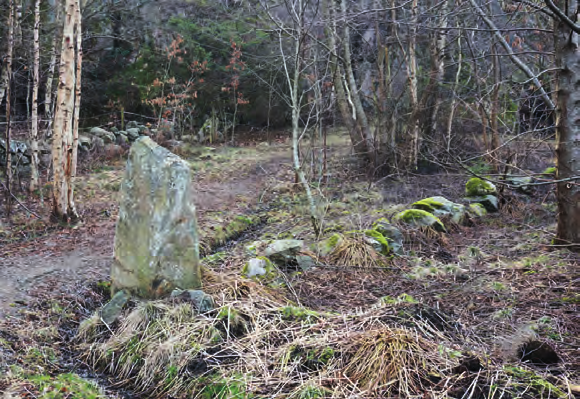 Genom planområdet finns spår efter en äldre bruksväg som tidigare försörjt uppodlade marker nordväst om planområdet.