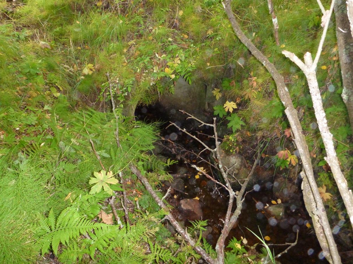 Bäcken och ravinen uppströms