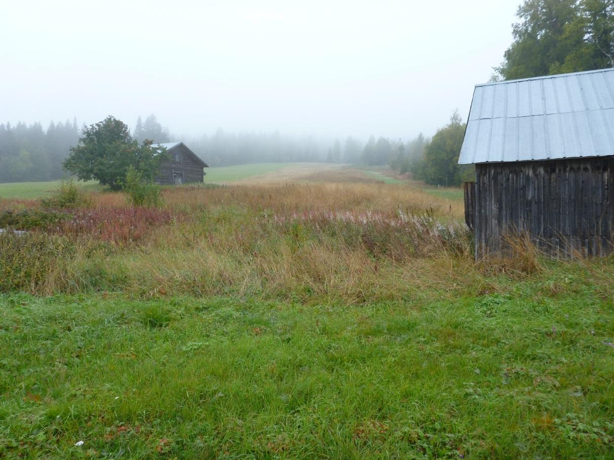 delarna av slänten. Glommersträsk - karteringspunkt 3.