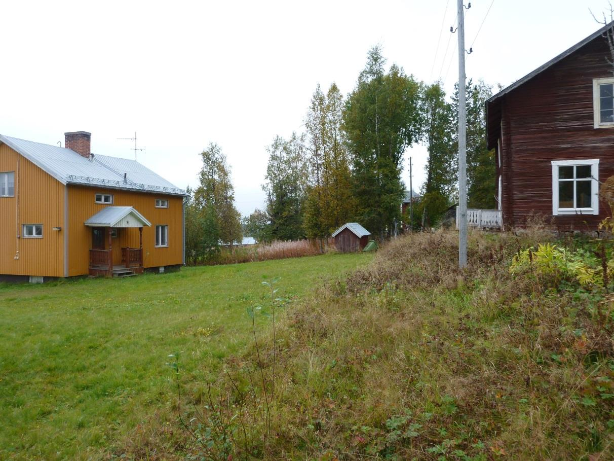 Vy från karteringspunkten mot nordost.