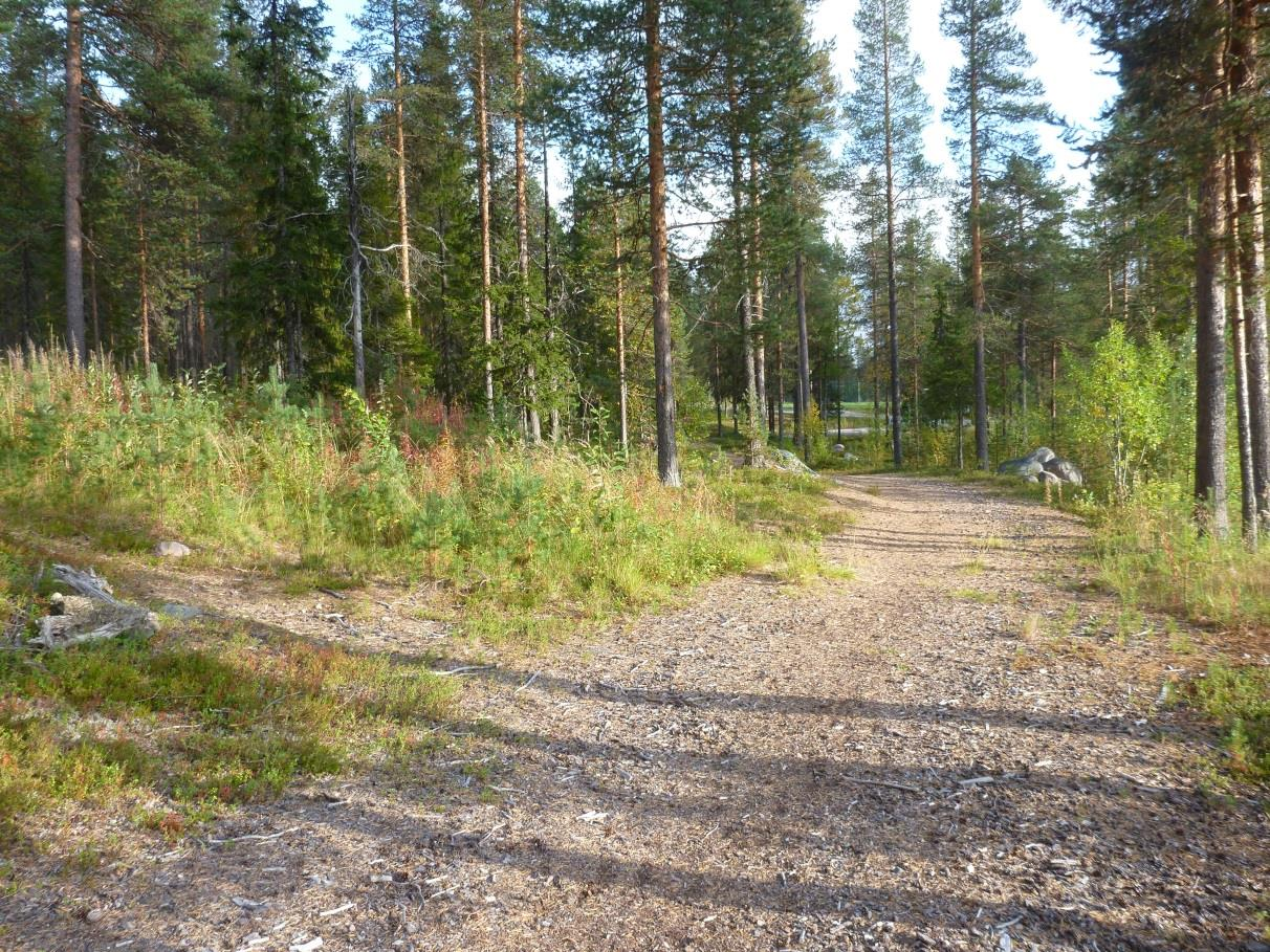 Vy mot nordost från karteringspunkten.