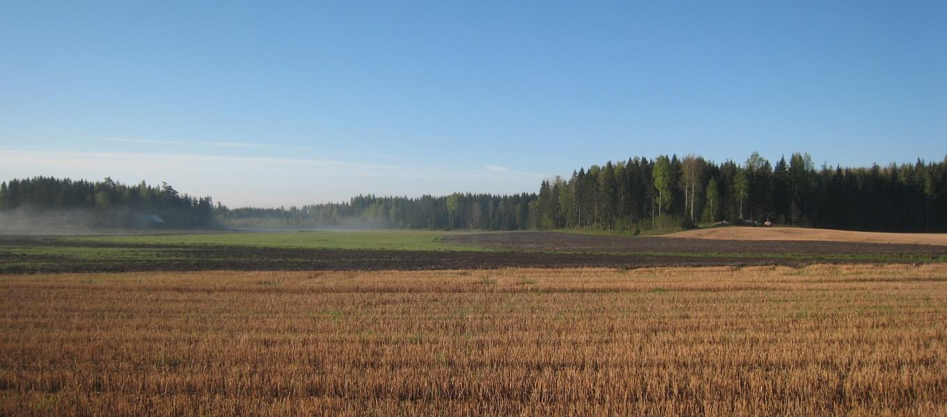 BILAGA 2. Beskrivning av miljön längs taxeringslinjen Den 4000 meter långa linjen ligger inom planeringsområdet.