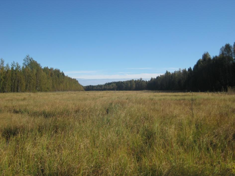 sidan av sjön finns ett gammalt mycket högt utkikstorn som byggdes i samband med restaureringen av sjön. I början var tornet flitigt besökt av människorna i trakten.