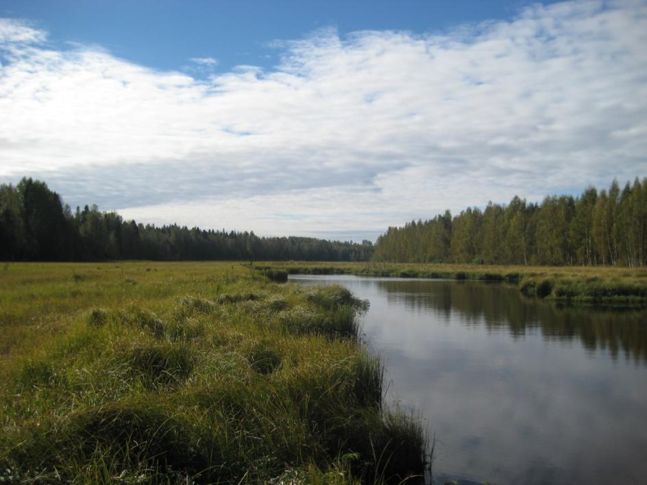 sjön. Man kan konstatera att Pirkärr var en mycket bra och värdefull fågelsjö under 1980-talet och skulle sjön ha samma fågelbestånd idag skulle den klassas som mycket viktig fågelsjö.