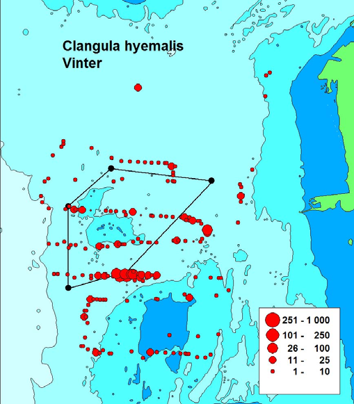 450 400 350 300 250 Alfågel Clangula hyemalis 200 150 100 50 0 D J F M A M J J A S O N D J F M A M J J