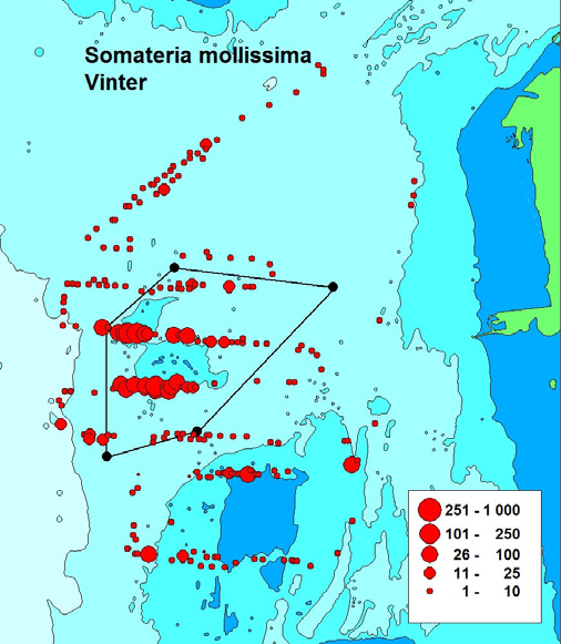 båtinventeringar höst (4), vinter (10) och vår (5).