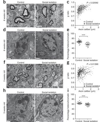 Ungdomlig mus Liu et al., 2012 Liu et al., 2012 Vad är Stress?