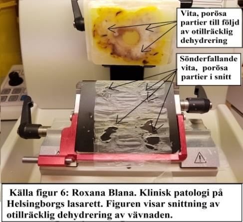 Jämförelse mellan objektglas med storsnitt och normalsnitt, som blev dehydrerade i varsitt program med JFC eller Histolab-Clear, var andra kriterier för utvärdering/validering.