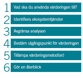 Ekosystemtjänster och kompensation Att upprätthålla naturens förmåga att producera viktiga ekosystemtjänster är ett angeläget allmänt intresse Naturvårdsverket anser att