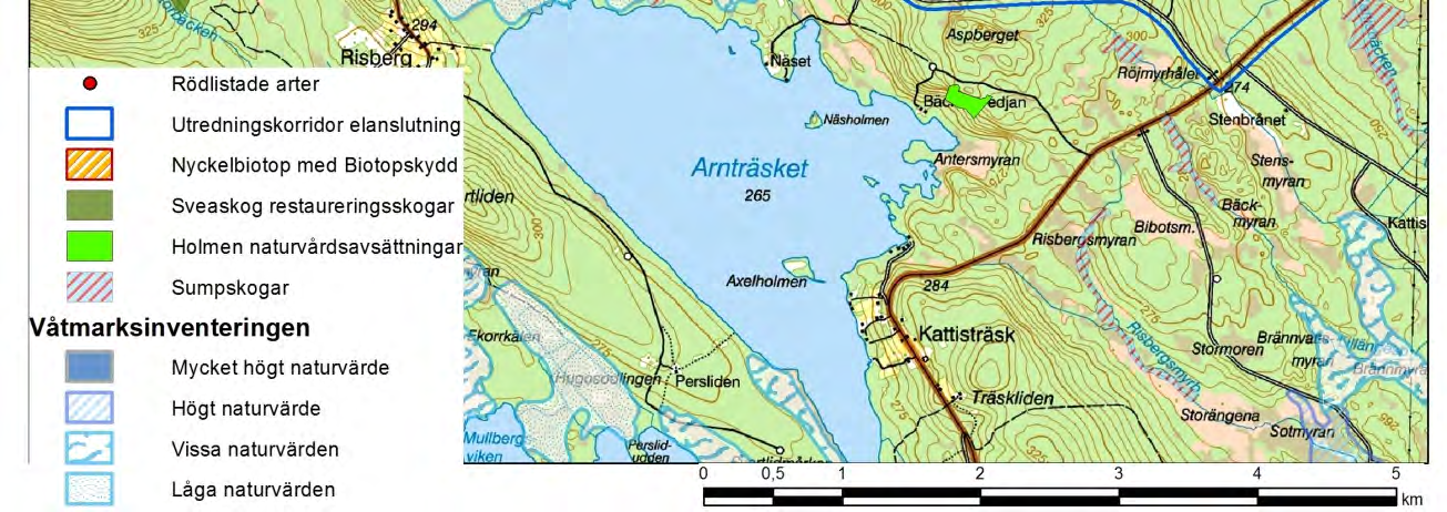 naturvärden i