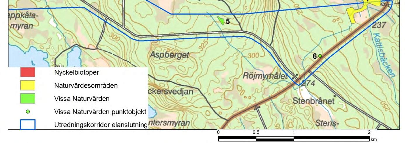 östra delen av