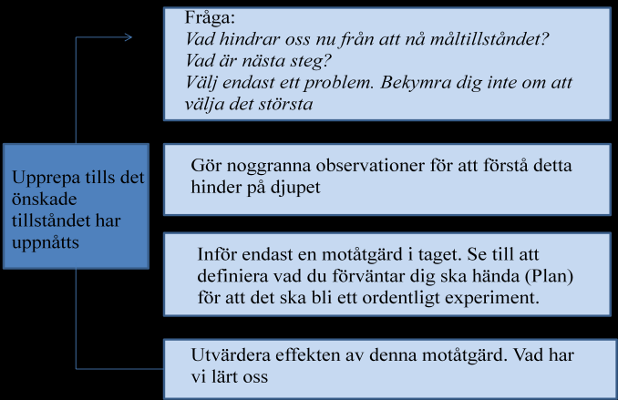 förbättring, problemlösning och att anpassning sker effektivt.
