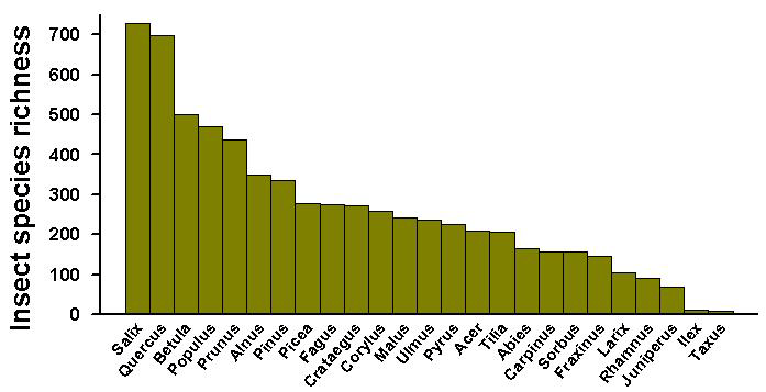 Phytoherbivorous insects http://www.uni-marburg.