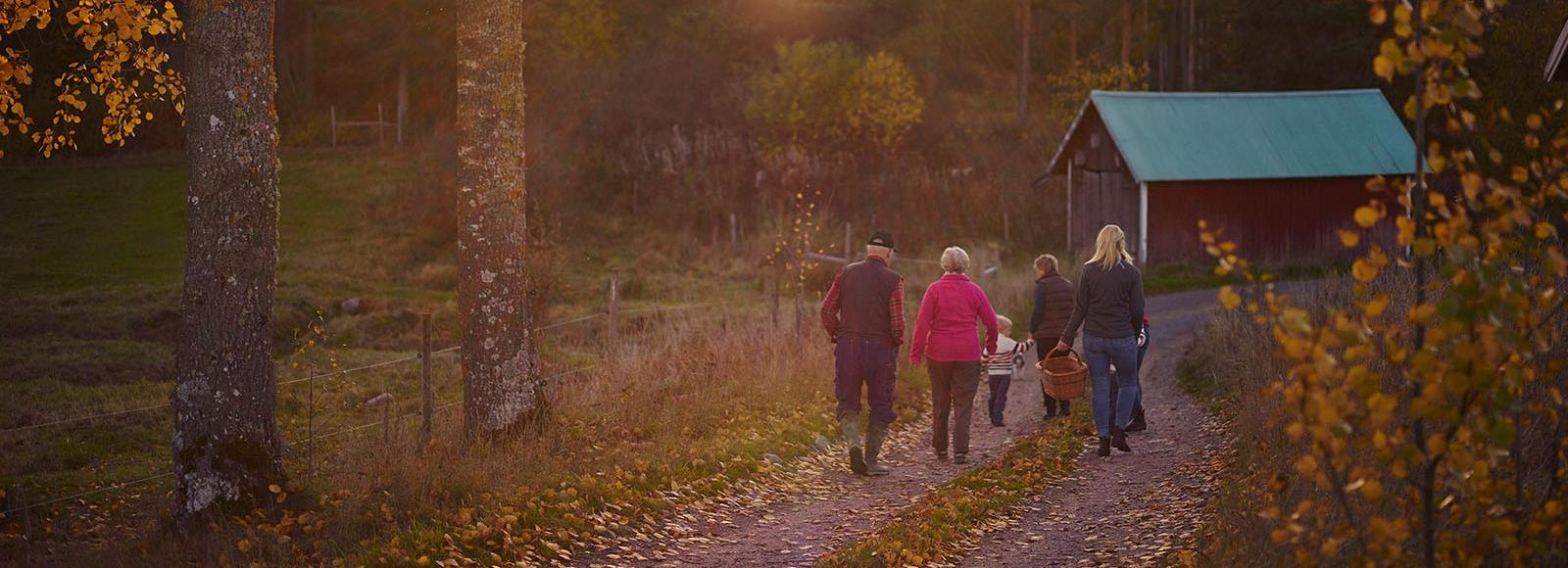 Södras uppdrag från sina 50 000 ägare Främja skogsgårdens lönsamhet Trygga avsättningen för medlemmarnas skogsråvara Rådgivning och service