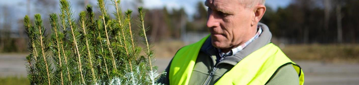 Södra Skog Försörjer koncernens industri med