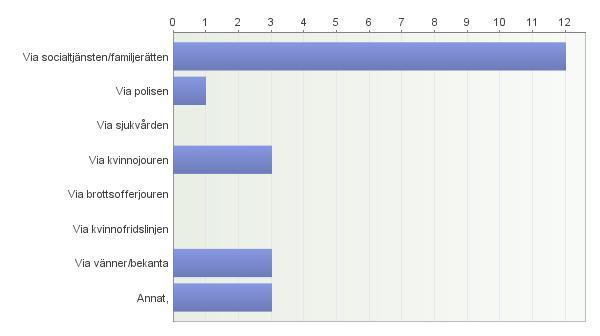 Aktualiserat av Antal Proce nt Den enskilde 61 37,4 Annan person 77 47,2