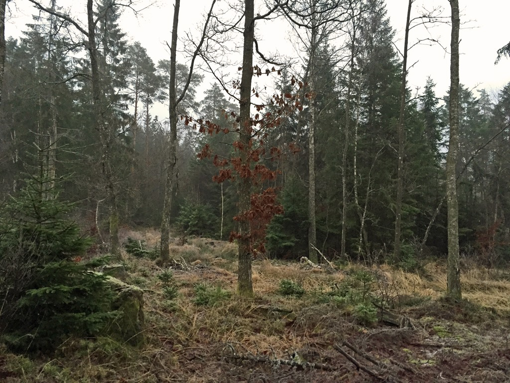 Betesmark Fastigheten ligger i en naturskön omgivning med drygt 300