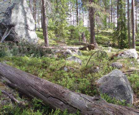 Ålkarstjärnarna i Ovanåkers kommun, Gävleborgs län.