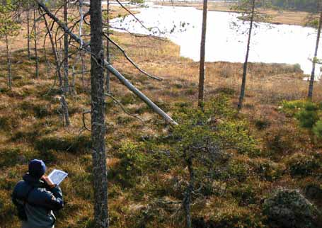 Foto: Peter Ståhl Foto: Hans Sundström Havsvalladalen i norra Värmland rymmer gammal tallskog och