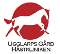 När etlning är gjord får mn ett kvitto som mn uppvisr vid uthämtning v sin nummerrik. Ing etlning ing nummerrik! Kostnd är totlt SEK inkl moms per häst. Gäststllhyr: SEK. Anmälningsvgift: SEK.
