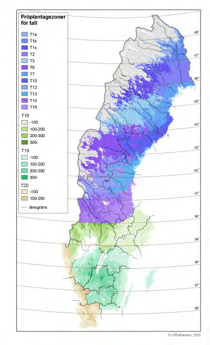 Sverige är indelat i ett stort antal fröplantagezoner för tall och gran (figur 7).