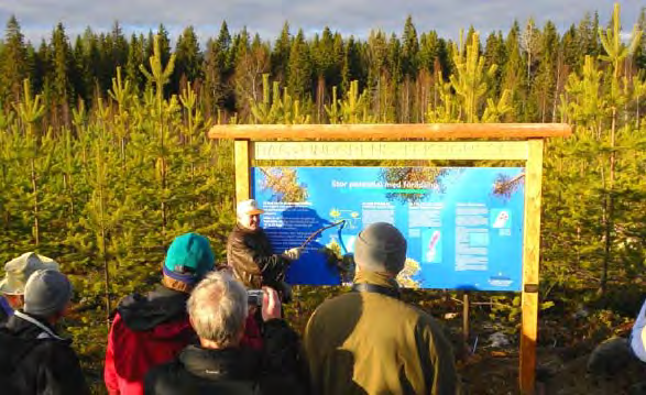 Utmärkning och tillgängliggörande av befintliga ytor Skogforsk har gjort en genomgång av alla fältförsök och identifierat ett antal av dem som har förutsättningar att fungera som lämpliga