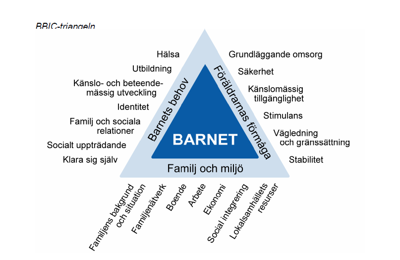 (Bild tagen från Lindström 2006, s. 27 ) Utvecklingsekologi När det kommer till BBIC så är det näst intill omöjligt att inte nämna utvecklingsekologin.