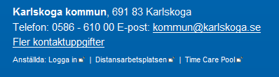 se och klicka på Anställda: Logga in Skriv i ditt användarnamn och samma lösenord som du loggar in med på jobbet.