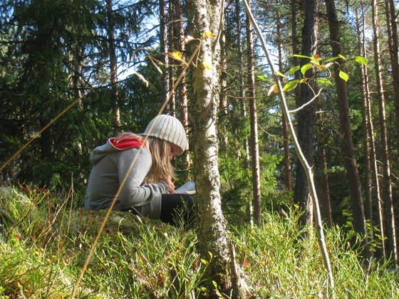 Naturskoldagar för åk 4 - flytta ut undervisningen i naturen för en dag! Inom ramen för planen för kulturfostran erbjuder Borgå naturskola alla klasser i årskurs fyra en naturskoldag.
